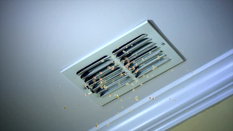 Affordable HVAC Duct Cleaning in Port Vue, PA