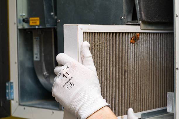 Best Professional Duct Cleaning Services  in Port Vue, PA